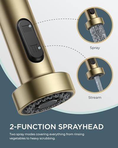 FORIOUS Gold Pull-Down Kitchen Sink Faucet
