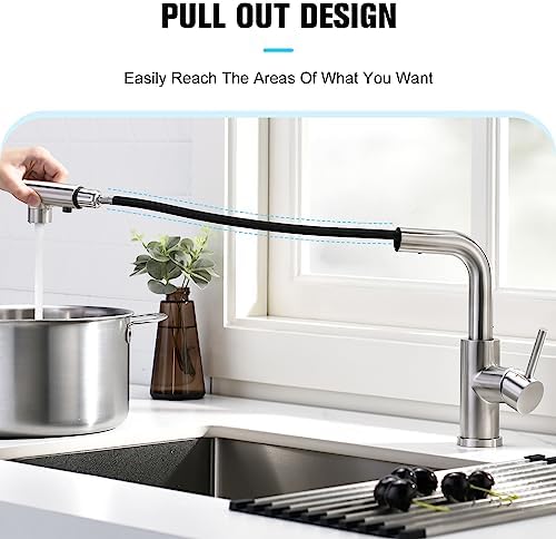 Crea Kitchen Faucet with Pull Out Sprayer, Brush Nickel