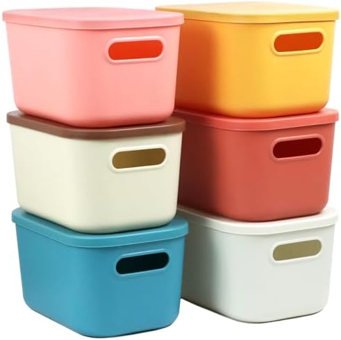 6Pcs Small Storage Bins with Lids, 6 Color
