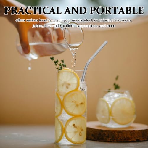 Reusable Stainless Steel Drinking Straws Set with Xmas Cleaner Brushes