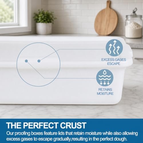 3-Pack 13 L Pizza Dough Proofing Box with Lid, White