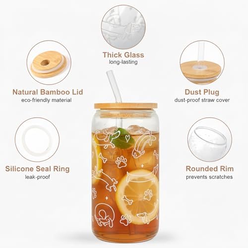 Dachshund Gift Glass Cup with Lid & Straw for Dog Lovers