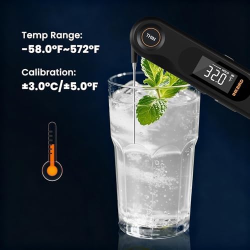 Dual Probe Instant Read Meat Thermometer