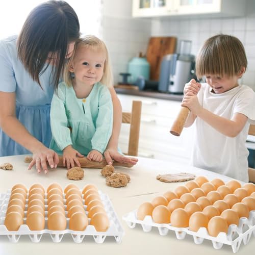 12 Pack Plastic Egg Tray, 30 Count, White