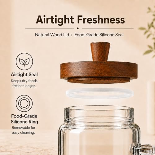 ANSQU Set of 2 Glass Coffee Canisters, 20.3 oz Jars with Spoons