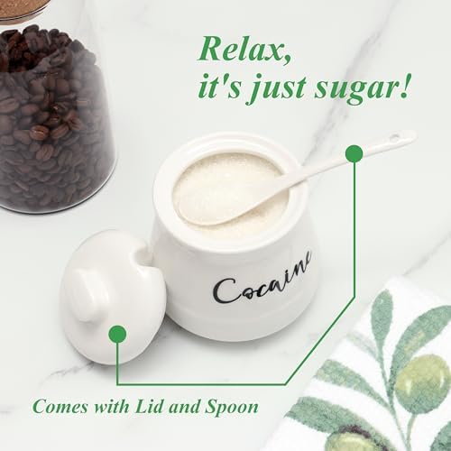 Ceramic Sugar Bowl with Lid and Spoon Funny Sugar Container for Coffee