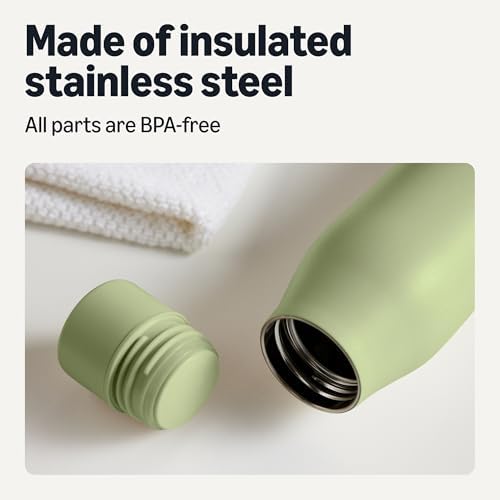 Amazon Basics Insulated Stainless Steel Water Bottle, Leak-Proof