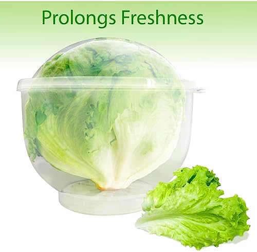Trenton Gifts Lettuce And Vegatable Storage Keeper | 7" X 8"