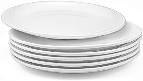 Foraineam 6 Pieces Porcelain Dinner Plates Approximate 10 Inch Round