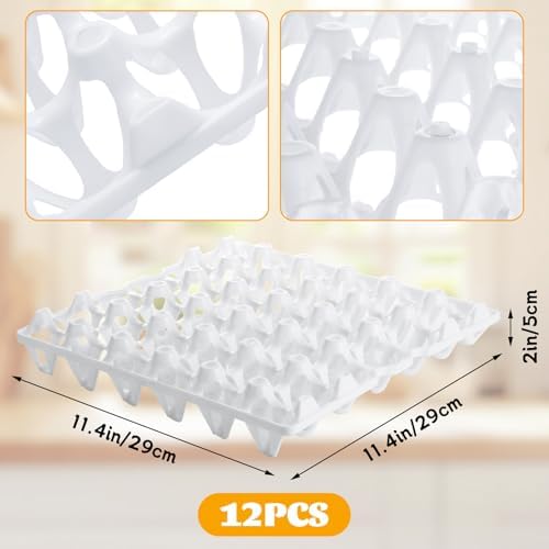 12 Pack Plastic Egg Tray, 30 Count, White