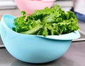 JohnXin Kitchen Colander Bowl Combo Strainer by Unknown