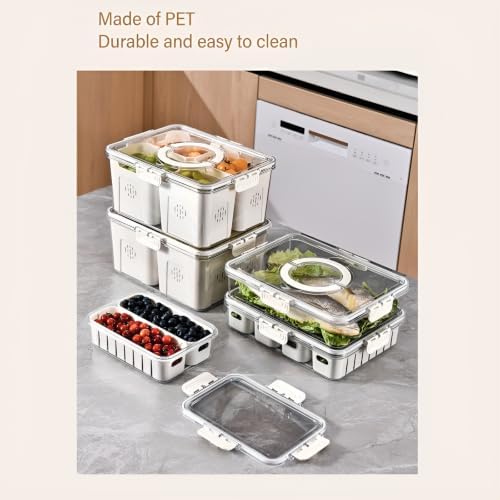 Fridge Food Storage Container with Lid, 2 Grid