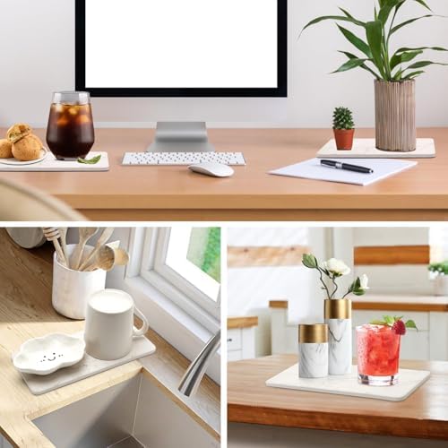 2 Water-Absorbing Stone Drying Trays