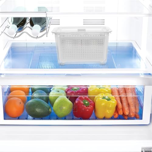 Refrigerator Sealed Storage Container, 2 Compartment Drain Box