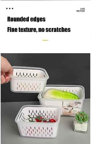 Fruit and Vegetable Storage Containers for Fridge, 6-Piece Set, Blue