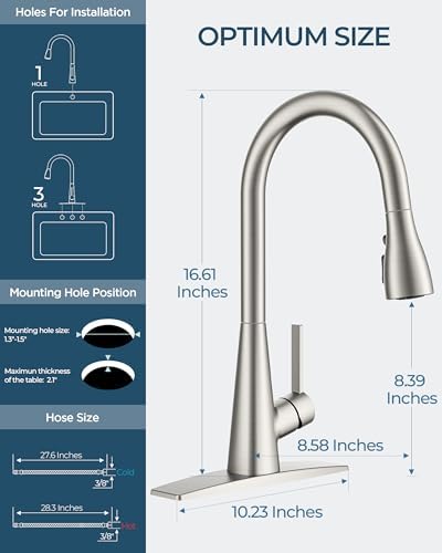 FORIOUS Kitchen Faucet with Pull Down Sprayer, Classic Stainless Steel