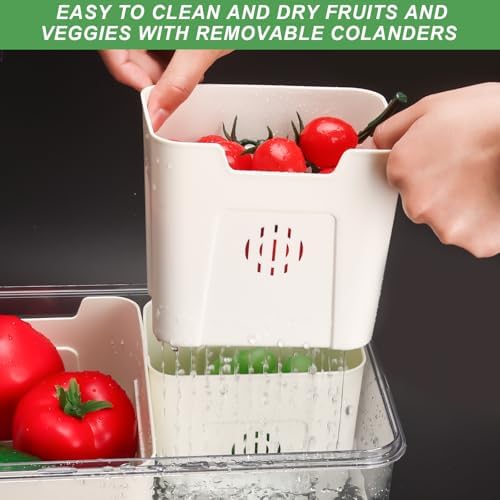 Fruit Storage Containers for Fridge with Lid and Handle, Veggie Tray