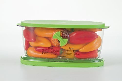 PrepSolutions Fresh Fruit & Vegetable Keeper, Green – Airtight