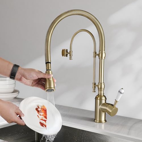 2-in-1 High Arc Pull-Down Swivel Kitchen Faucet, Brushed Gold