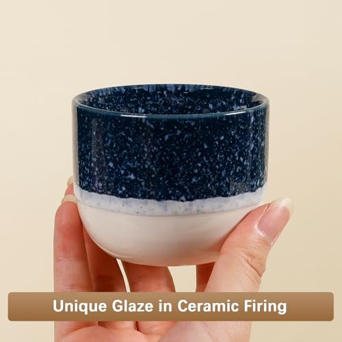 Ceramic Espresso Cups Set of 4, Double Walled Espresso Coffee Mugs for