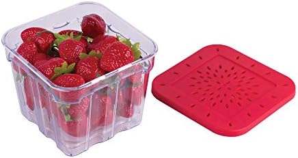 HIC Kitchen BerryFresh 1-Liter Produce Box, Red