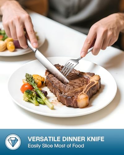 Stapava 20 Piece Silverware Set, Food-Grade Stainless Steel Flatware