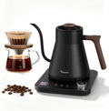 Gooseneck Electric Kettle with Temperature Control