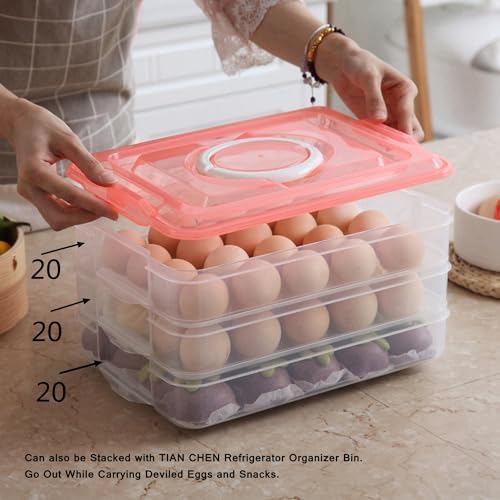 Deviled Egg Container with Lid, Portable Carrier Tray