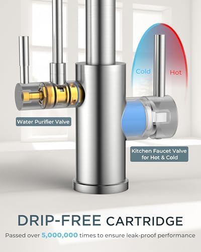 FORIOUS Kitchen Faucet with Purified Water, 2 Handle, Brushed Nickel