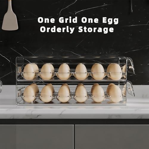 HIYOHIYO 60-Grid Egg Organizer, 2-Tier