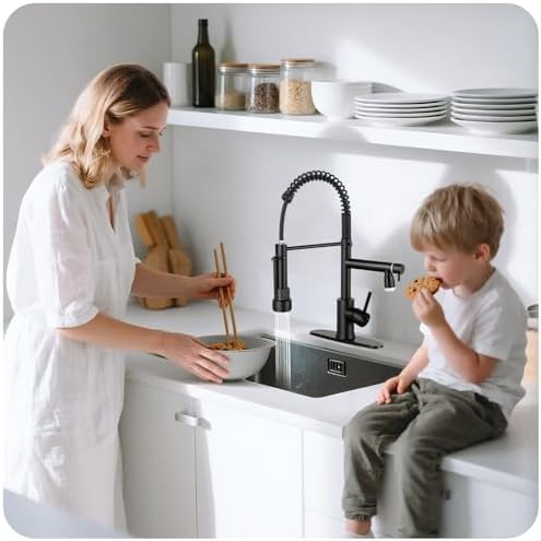 LED Kitchen Faucet with Pull-Down Sprayer, Matte Black