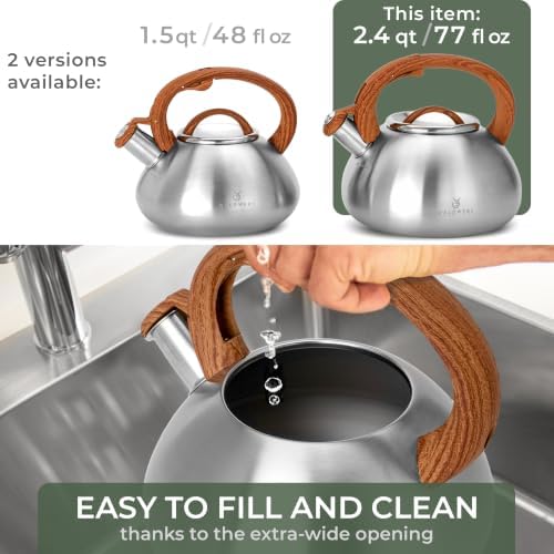 WALDWERK 2.4 Quart Stainless Steel Tea Kettle