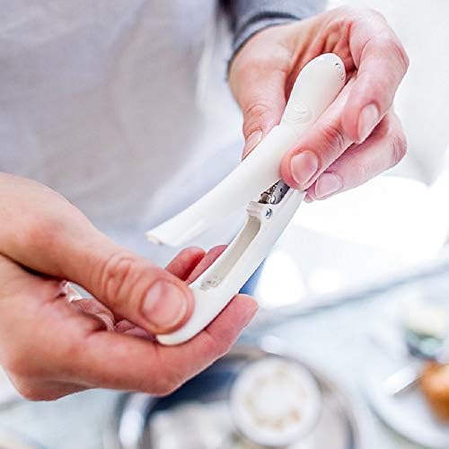 Spice Pen, Riipoo Electric Spice Pen, Art Pen for Coffee Cake and