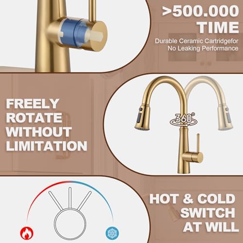 WOWOW Gold Stainless Steel Pull-Down Kitchen Faucet