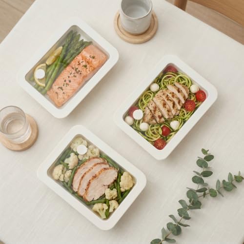 Urban Green 3 Pack 23oz Ceramic Coated Glass Containers