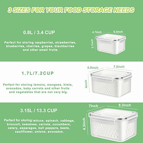 3 Pack Fruit Storage Containers for Berry and Lettuce