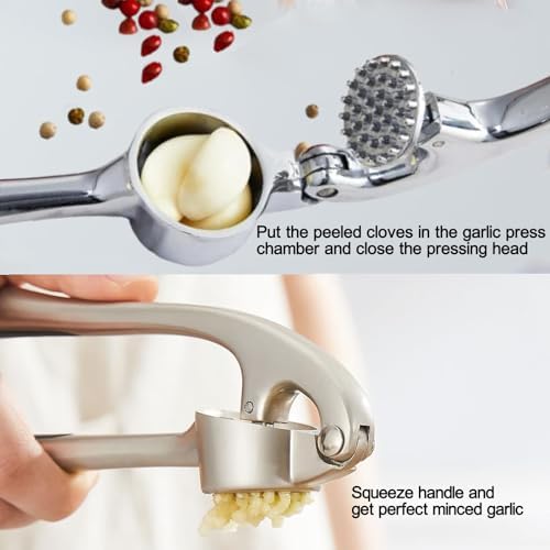 Stainless Steel 2-in-1 Garlic Press and Herb Scissors