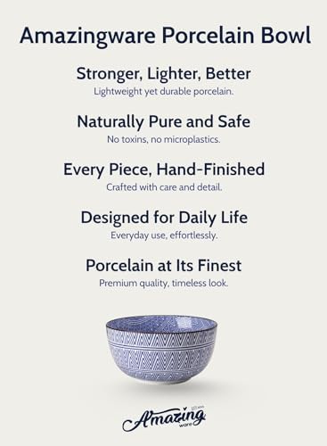 Porcelain Bowl - 20 Ounce for Cereal, Soup, Salad and Pasta, Microwave
