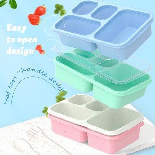Large Capacity Bento Box for Adults, 4-Piece Set – Stackable Lunch Box