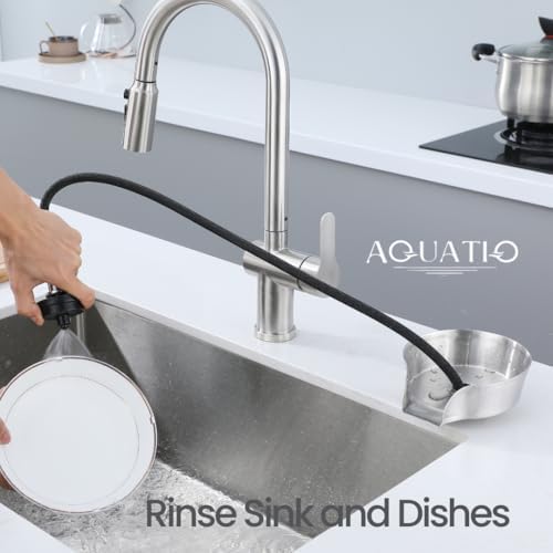 2 in1 Glass Rinser for Kitchen Sink, Stainless Steel Cup Cleaner