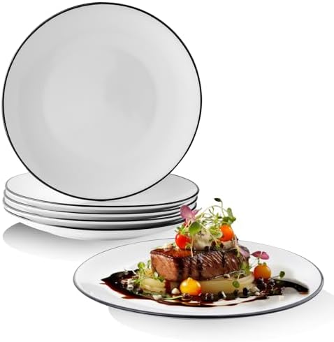 YOLIFE 10 inch Dinner Plates Set of 6