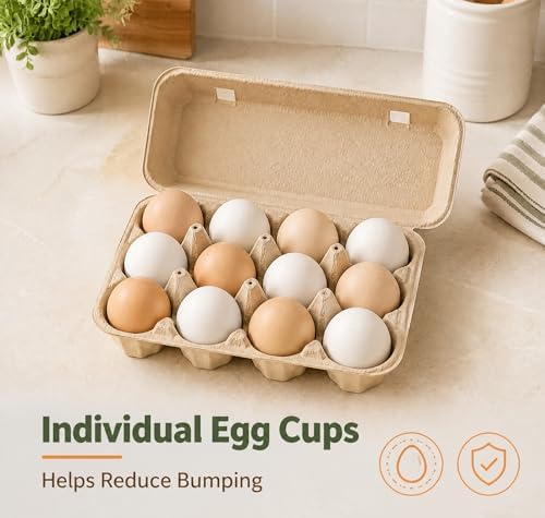 24 Pack Paper Pulp Egg Cartons