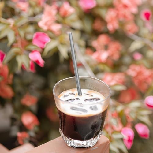 Reusable Stainless Steel Drinking Straws Set with Xmas Cleaner Brushes