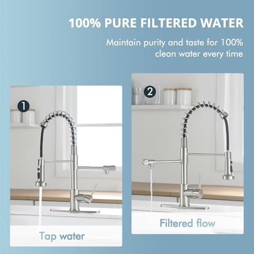 GIMILI 3 in 1 Brushed Nickel Filter Kitchen Faucet