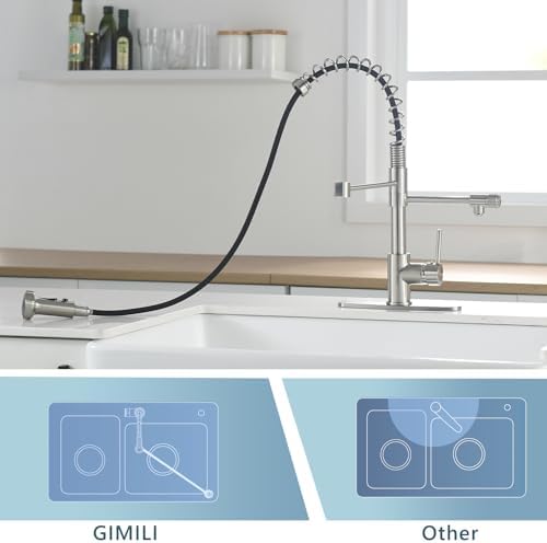 GIMILI 3 in 1 Brushed Nickel Filter Kitchen Faucet