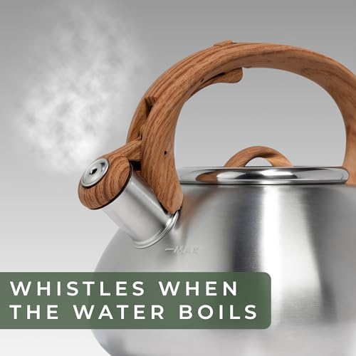 WALDWERK 2.4 Quart Stainless Steel Tea Kettle