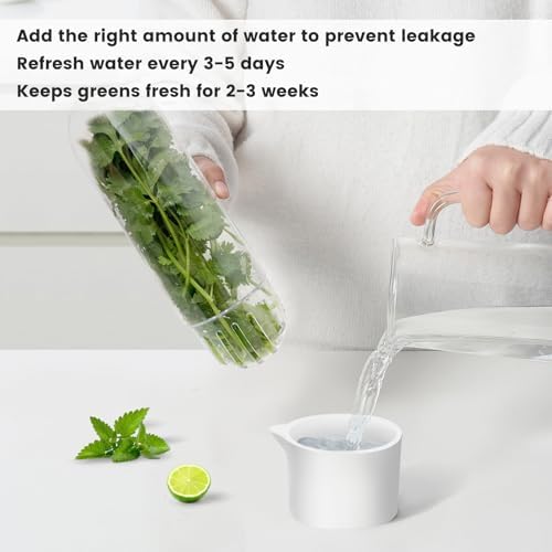 2PCS Herb Keeper Containers for Refrigerator