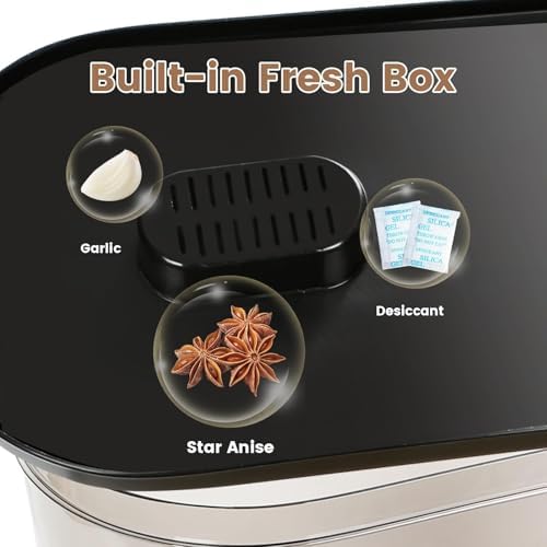 SYNCVIBE Large Rice Dispenser, 22-25 Lbs, Airtight, Measuring Cup