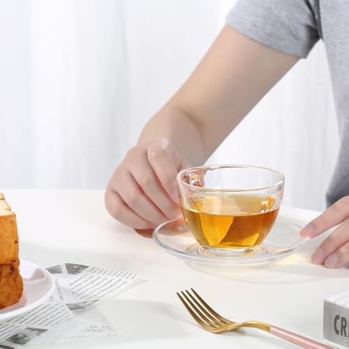 Glass Teacup and Saucer Set, 6 Pack Coffee Mug with Stainless Steel