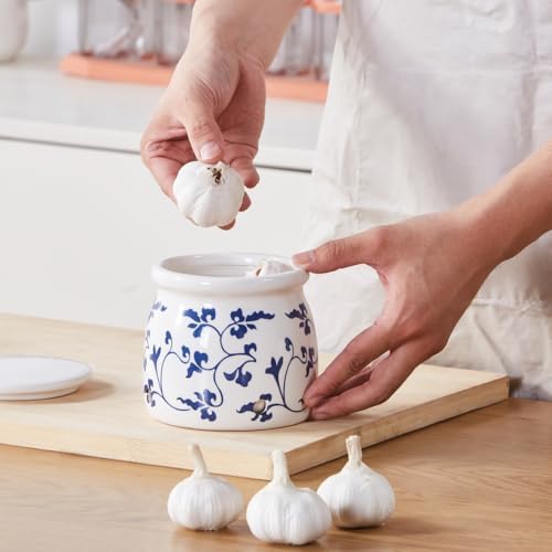 Terracotta Garlic Storage Container, Ceramic Keeper for Kitchen